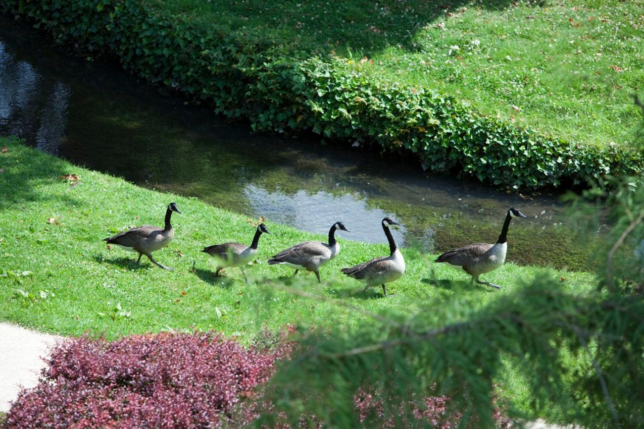 Domaine De Saint-Paul Hotel Kültér fotó
